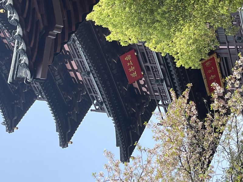 一万次春和景明