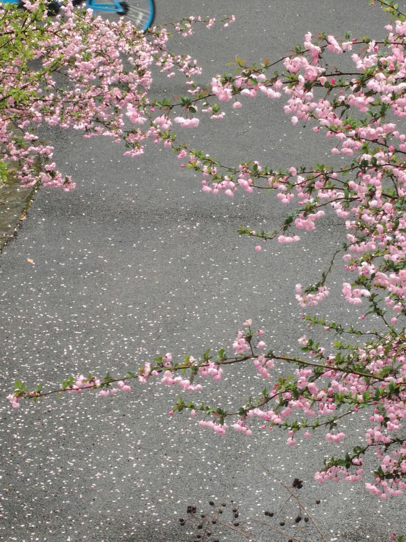 春
