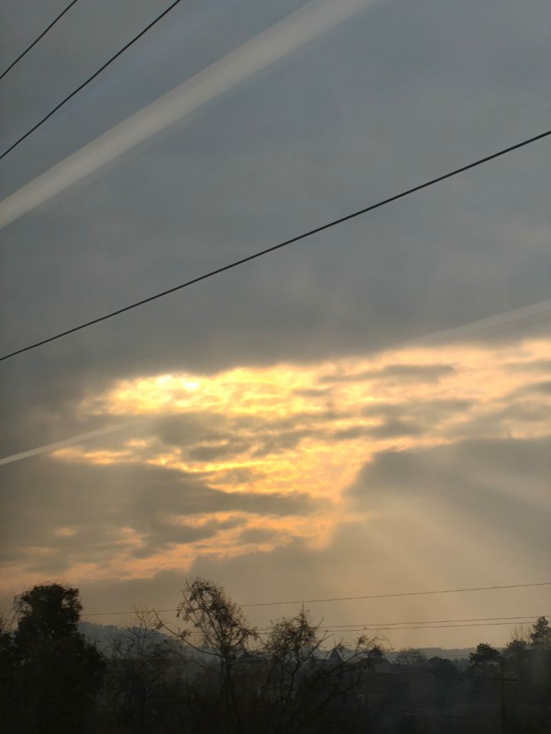春