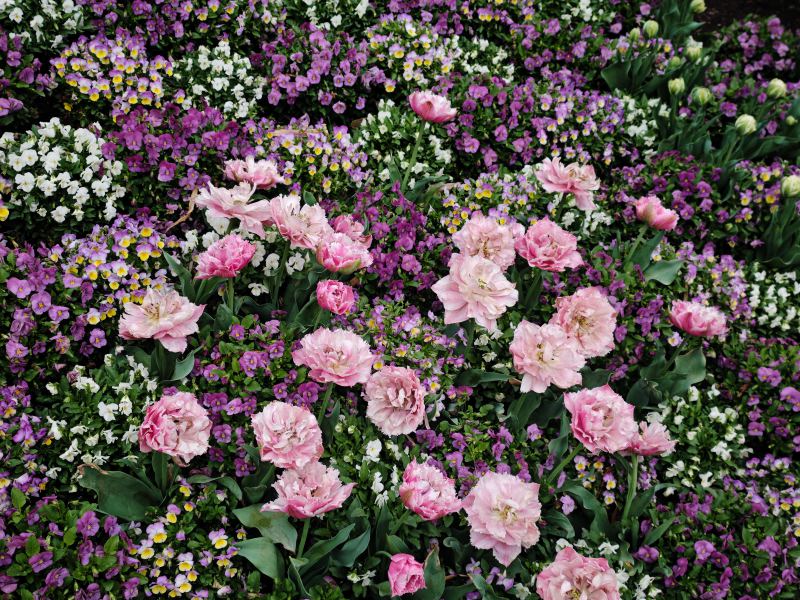 花